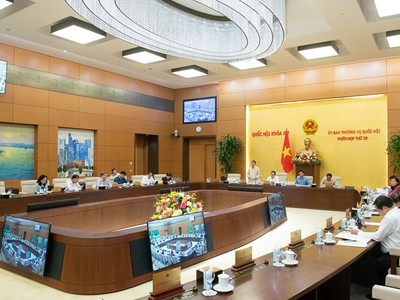 Phiên họp chiều 14/11 của Uỷ ban Thường vụ Quốc hội.