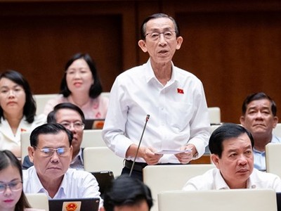 Đại biểu Trần Hoàng Ngân (TP.HCM)