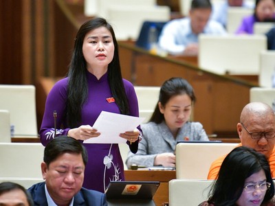 Đại biểu Đặng Thị Bảo Trinh (Quảng Nam)