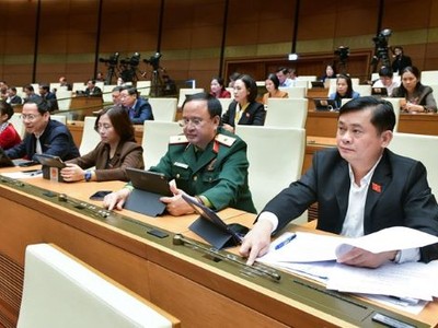 Đại biểu biểu quyết thông qua Luật Phòng, chống mua bán người (sửa đổi) sáng 28/11