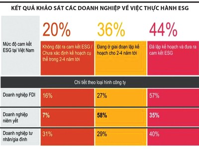 Thực hành ESG: “Nước đã đến chân”