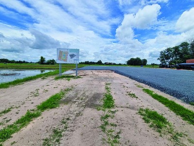 Dự án Khu đô thị An Huy Mỹ Việt vẫn chỉ là cánh đồng mông mênh nước và cỏ (Ảnh: G.P)