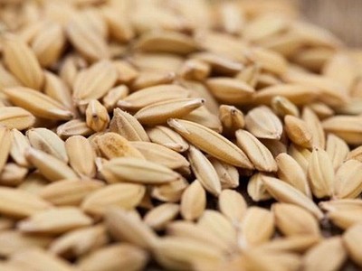 Ảnh minh hoạ. (Nguồn: Internet)