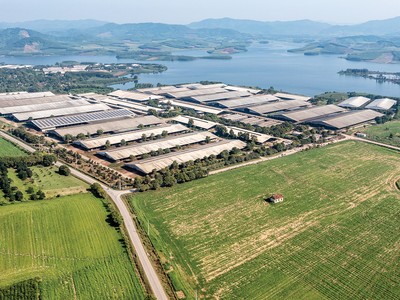 Trang trại bò sữa tại Nghệ An của TH true Milk là một trong những dự án được BAC A BANK tư vấn đầu tư