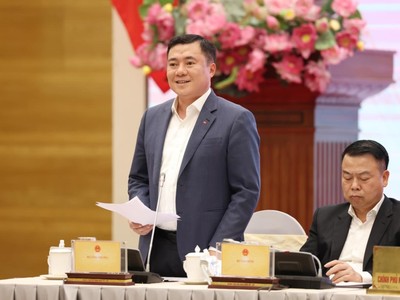 Thứ trưởng Bộ Công thương Nguyễn Sinh Nhật Tân. Ảnh: VGP