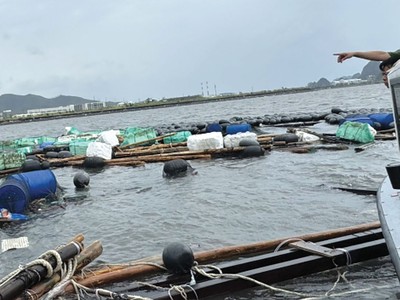 Ngành nông nghiệp chịu thiệt hại gần 40.000 tỷ đồng do bão Yagi, nhưng chỉ khoảng 17% tổn thất được bảo hiểm