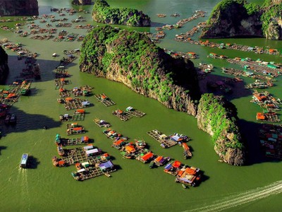 Tăng quy mô diện tích các khu bảo tồn biển, khu bảo vệ nguồn lợi thuỷ sản, khu cư trú nhân tạo cho loài thuỷ sản biển.