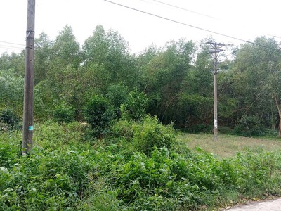 Dự án Trang trại chăn nuôi kết hợp trồng trọt triển khai tại thôn Phương Nghệ, xã Quế Phú huyện Quế Sơn