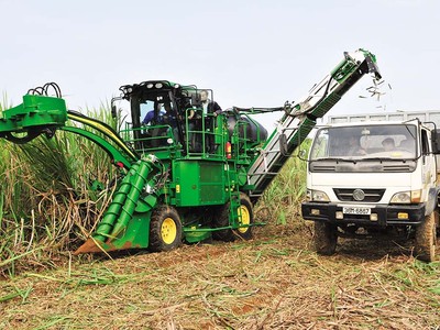Lasuco liên kết với 8.000 hộ nông dân trồng mía và canh tác mía theo hướng giảm phát thải