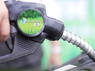 Thương nhân kinh doanh xăng dầu được yêu cầu đảm bảo nguồn cung xăng sinh học đáp ứng nhu cầu thị trường. 