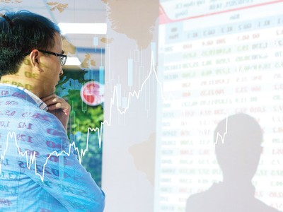 Các cá nhân là nhà đầu tư chuyên nghiệp đã tham gia đầu tư vào hơn 40% các đợt phát hành trái phiếu doanh nghiệp riêng lẻ trong năm 2024