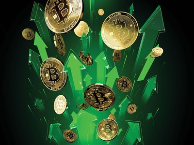 Đồng Bitcoin đang đứng trước nhiều cơ hội 