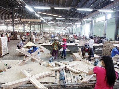 Gỗ Trường Thành đang nỗ lực mở rộng thị trường xuất khẩu 