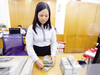 Tỷ giá năm 2025 được dự báo tăng, các doanh nghiệp cần theo dõi sát sao để ứng phó linh hoạt. Ảnh: Đức Thanh 