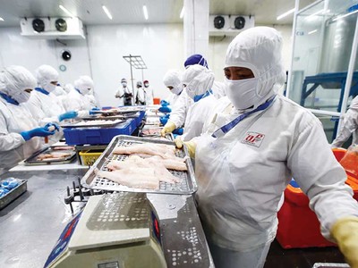 Sản xuất, xuất khẩu hối hả ngay từ đầu năm 