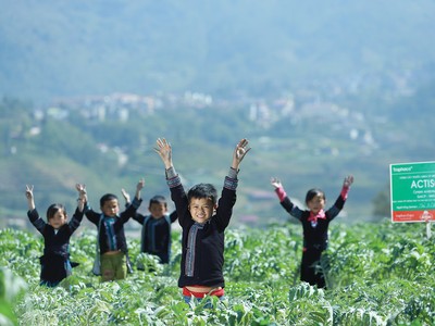 Trẻ em dân tộc thiểu số Sapa vui chơi trên cánh đồng actiso