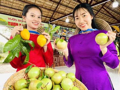 Trái cây Đồng bằng sông Cửu Long rộn ràng ra chợ Tết 