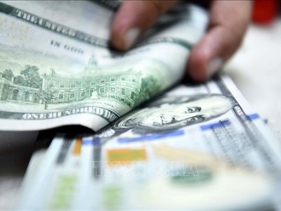 Đồng tiền mệnh giá 100USD. (Ảnh minh họa: THX/TTXVN)