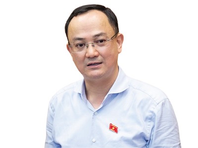 Ông Nguyễn Ngọc Sơn, Ủy viên Thường trực Ủy ban Khoa học, Công nghệ và Môi trường của Quốc hội 