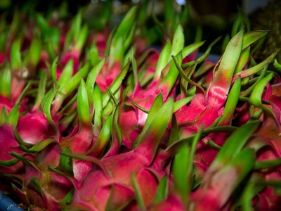 EU gửi 12 cảnh báo do các sản phẩm nông sản, thực phẩm Việt Nam vi phạm quy định an toàn thực phẩm.