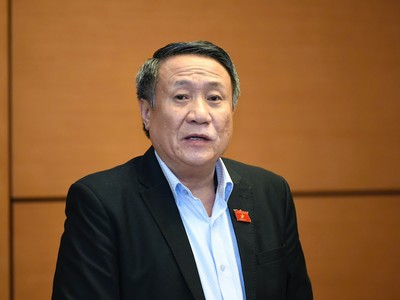 Đại biểu Hà Sỹ Đồng phát biểu tại tổ - Ảnh Như Ý.