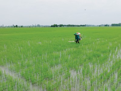 Ngành phân bón Việt Nam có dư địa tăng trưởng 