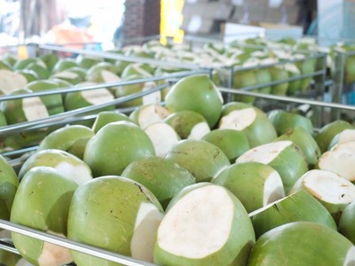 Việt Nam thu hơn 1 tỷ USD từ xuất khẩu dừa tươi và các sản phẩm chế biến từ dừa. 