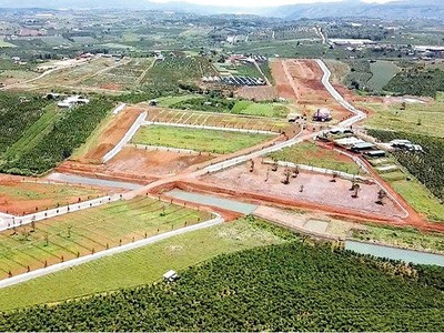 Bảo Lộc xin hướng dẫn gỡ vướng khi tách, hợp thửa và chuyển mục đích sử dụng đất 