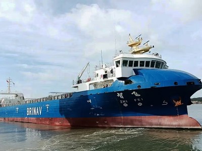 Tàu container tự hành Zhifei của Trung Quốc. Ảnh: CCS