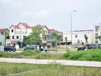 Sức hút từ các phiên đấu giá đất vùng ven Hà Nội đã suy giảm. Ảnh: Thanh Vũ