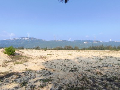 Hạ tầng Khu công nghiệp Nhơn Hội - Khu B chưa hoàn thiện.