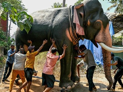 Một chú voi robot ở Thrissur, bang Kerala, Ấn Độ. Ảnh: AFP 