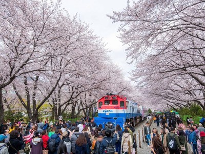 KTO dành hơn 2.000 quà tặng đặc biệt cho du khách Việt Nam đi Hàn Quốc.