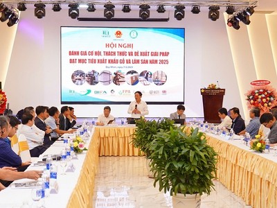 Ngành gỗ cần thay đổi để thích ứng bối cảnh mới 