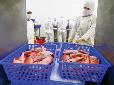 Xuất khẩu thủy sản tăng trưởng khá trong 2 tháng đầu năm (Ảnh: Đức Thanh)