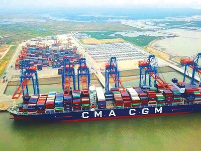 Biến số cước vận tải biển