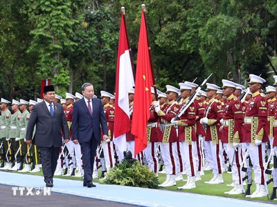 Tổng Bí thư Tô Lâm và Tổng thống Indonesia Prabowo Subianto duyệt đội danh dự trong Lễ đón tại Phủ Tổng thống. Ảnh: TTXVN