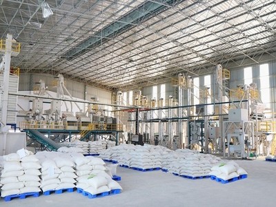 Giá gạo xuất khẩu bình quân 2 tháng đầu năm 2025 giảm 18,3% so với cùng kỳ. 