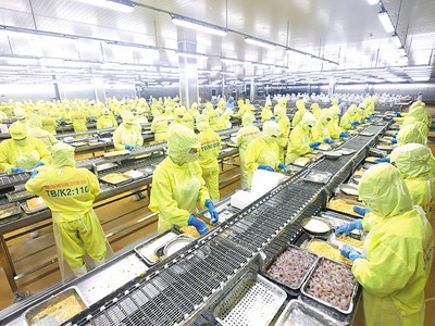 Quy chuẩn của Việt Nam về chất ô nhiễm trong thực phẩm bảo vệ sức khoẻ có yêu cầu cao hơn cả quy chuẩn của những nước phát triển. Ảnh: Đức Thanh 