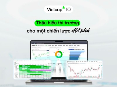 Vietcap IQ - Nền tảng phân tích đầu tư chứng khoán