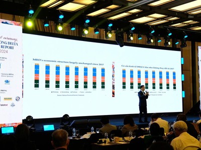 TS. Vũ Thành Tự Anh chỉ ra cơ cấu kinh tế ĐBSCL hầu như không thay đổi từ năm 2017. Ảnh: Trọng Tín