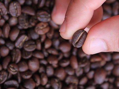 Xuất khẩu cà phê được lợi vì giá tăng cao so với năm ngoái.