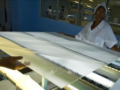 Công nhân sản xuất tấm năng lượng mặt trời tại nhà máy ở Pinar del Rio, Cuba. (Ảnh: AFP/ TTXVN) 