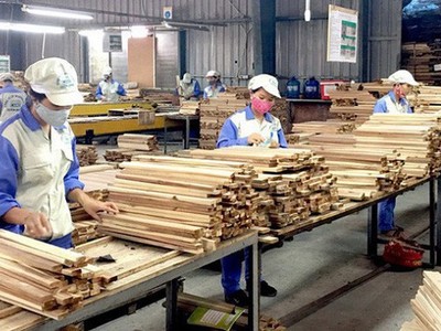 Một số doanh nghiệp đã chủ động chuyển hướng thị trường, tập trung vào tiêu thụ nội địa hoặc mở rộng xuất khẩu sang các khu vực khác như châu Âu, Nhật Bản, Úc, Trung Đông, Canada. 