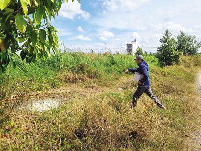 Một cò đất dẫn khách TP.HCM đi xem nền ở... tỉnh khác.