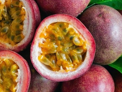 Việt Nam-Trung Quốc ký kết thêm 4 nghị định thư nông nghiệp 