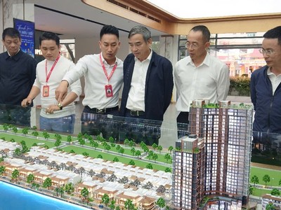 Đà Nẵng đẩy nhanh thủ tục chấp thuận chủ trương các dự án khu đô thị mới 