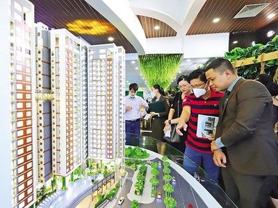 Khách tham quan mô hình dự án của Công ty cổ phần Địa ốc Phú Long 