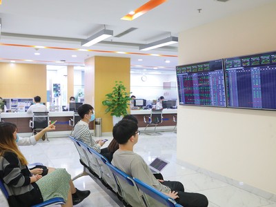 Các nhịp phục hồi mang tính kỹ thuật nên được tận dụng để cơ cấu danh mục 