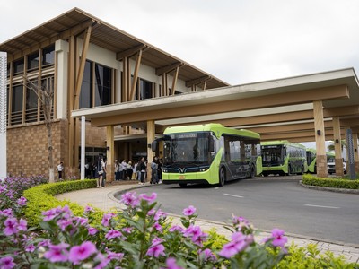 Choáng ngợp không gian ngập tràn thiên nhiên tại Sun Gallery Cat Ba, Hải Phòng